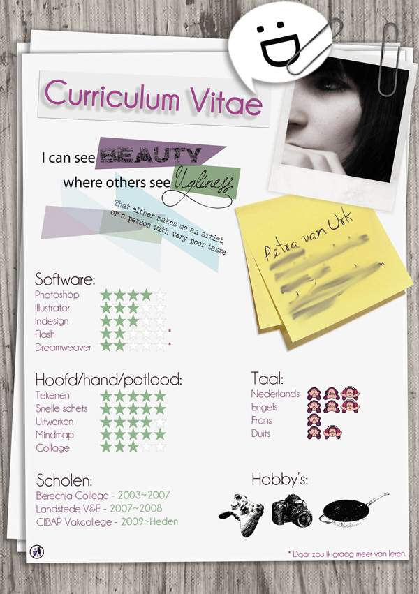 1000  images about curriculum vitae on pinterest