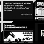 Le CV anonyme de Zoo, zoochercheunstage.fr – un CV original !