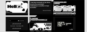 Le CV anonyme de Zoo, zoochercheunstage.fr - cv original !