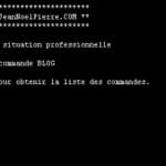 cv-jean-noel-pierre-developpeur-original