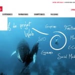 Le CV Quicksilver de Thomas Groc