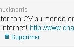 cv-twitter-job-recrutement-charlee-jeunehomme