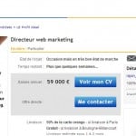 cv ebay