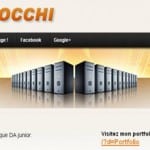 cv-megaupload-bertrand-rocchi