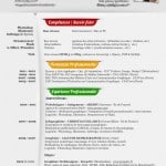 cv_aurelien_denizot