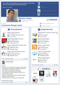 cv-facebook-flavien-amey