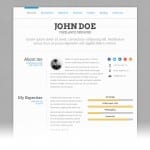 modele_cv_original_site_web