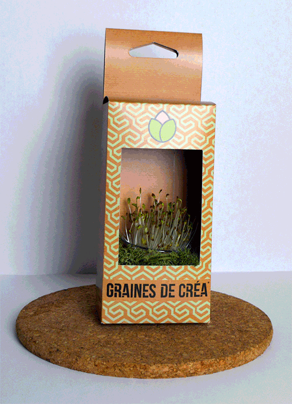 cv_original_graines_crea_packaging