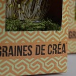 graines_de_creas_cv_original_jeffrey_corley_tanguy_agostini_stage