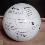cv-original-ballon-candidature-insolite-emploi