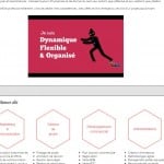 talentsalouer-cv-original-benoit-gonzales-parodie-site-commerce