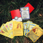 candidature cv pokemon go