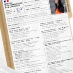 cv orange is the new andreau athenais original papier prison