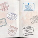 cv passeport original romanes deshayes alternance