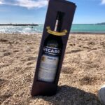CV maelle kolz bouteille ricard candidature insolite drole fun